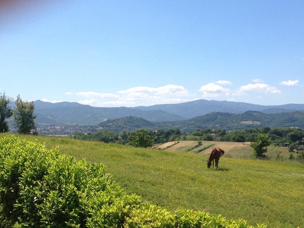 "Villa Bizzi" Monte Castelli Exteriér fotografie